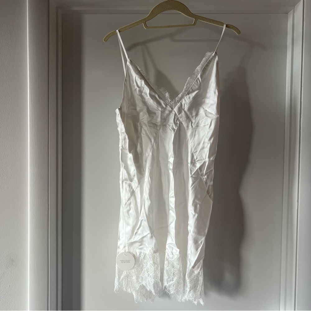 Shona Joy Lustre Lace Slip Mini Dress - Ivory - Picture 7 of 8